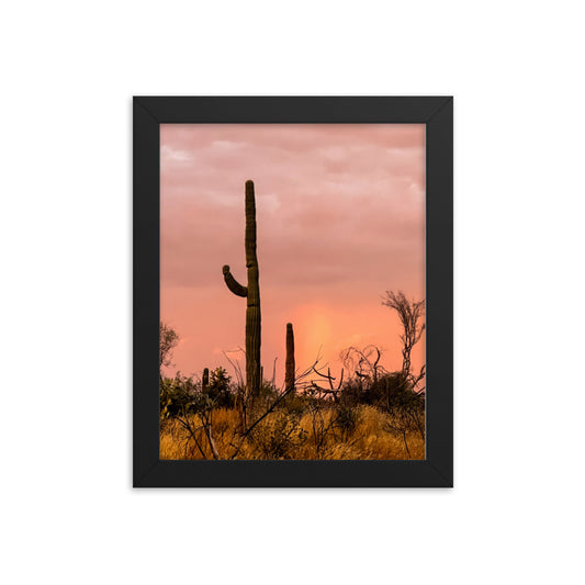 Tonto Forest Framed poster