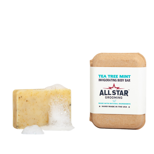 Tea Tree Mint Invigorating 4 oz Bar
